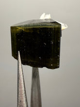 Load image into Gallery viewer, Green Cap Stak Nala Tourmaline with Cleavelandite – Haramosh Mountains, Pakistan | Thumbnail Specimen
