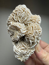 Load image into Gallery viewer, Desert Rose Selenite (Gypsum) — Mineral Display Specimen | Mexico
