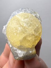 Load image into Gallery viewer, Rare Botryoidal Yellow Fluorite on Quartz Matrix  Collector Mineral Specimen – Maharashtra, India
