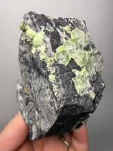 Load image into Gallery viewer, High-Grade Green Wavellite Collectors Specimen - Radiating Botryoidal Crystal Formation - Arkansas, USA

