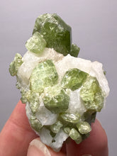 Load image into Gallery viewer, Electric Green Diopside on Quartz – Collector Mineral Specimen (Gilgit-Baltistan) Pakistan
