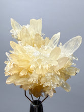 Load image into Gallery viewer, High-Grade Flower Calcite Crystal Specimen | Wenshan Mine, Yunnan, China | Collector Mineral Display
