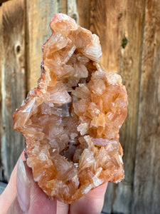 Orange Gem Heulandite • Maharashtra, India