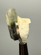 Load image into Gallery viewer, Green Cap Stak Nala Tourmaline with Cleavelandite – Haramosh Mountains, Pakistan | Thumbnail Specimen
