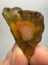 Load image into Gallery viewer, Polished Malawi Agate Half – High-Grade African Banded Agate Display Specimen
