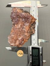 Load image into Gallery viewer, Natural Botryoidal Goethite on Amethyst Cluster | Collector Mineral Specimen | Morocco
