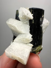 Load image into Gallery viewer, Blue and Green Cap Stak Nala Tourmaline w Double Terminated Quartz on Cleavelandite Matrix – Haramosh Mountains, Pakistan
