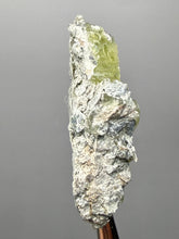 Load image into Gallery viewer, Vibrant Yellow Brucite Thumbnail Mineral Specimen | Collector Crystal from Killa Saifullah District in Balochistan Province, Pakistan
