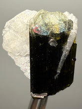 Load image into Gallery viewer, Dark Green Cap Stak Nala Tourmaline with Cleavelandite Flower – Haramosh Mountains, Pakistan | Thumbnail Specimen
