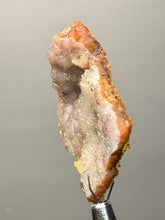 Load image into Gallery viewer, “Goblin Chalcedony” Pink and Red Druzy Botryoidal Stalactites — Tichka Massif, High Atlas, Morocco
