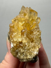 Load image into Gallery viewer, Golden Glow Calcite Cluster | Maharashtra, India
