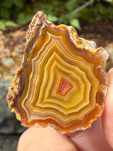 Load image into Gallery viewer, Small High-Grade Laguna Agate with Parallax Effect &amp; Quartz Core – Rare Mexican Collectible Gemstone
