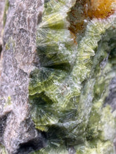Load image into Gallery viewer, High-Grade Green Wavellite Collectors Specimen - Radiating Botryoidal Crystal Formation - Arkansas, USA
