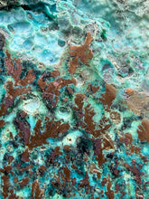 Load image into Gallery viewer, 4” Polished Native Copper in Chrysocolla — Display Specimen (Indonesia)
