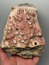 Load image into Gallery viewer, Rhodochrosite Free Form Collector Mineral Display Specimen — Argentina
