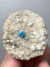 Load image into Gallery viewer, Rare Electric Blue Cavansite on Druzy Matrix – Collector Mineral Specimen | India
