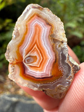 Load image into Gallery viewer, High-Grade Parallax Banded Laguna Agate – Bright Orange, Red, &amp; White Banding from Mexico
