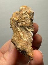 Load image into Gallery viewer, Premium Sumatra Agate Pair (Banded Chalcedony) Display Specimen | Indonesia
