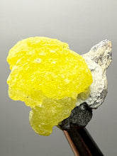 Load image into Gallery viewer, Vibrant Yellow Brucite Thumbnail Mineral Specimen | Collector Crystal from Killa Saifullah District in Balochistan Province, Pakistan
