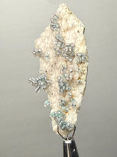Load image into Gallery viewer, Blue-Green Chrysocolla in Botryoidal Chalcedony Cabinet Specimen | Indonesia
