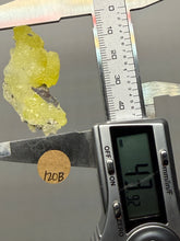 Load image into Gallery viewer, Vibrant Yellow Brucite Thumbnail Mineral Specimen | Collector Crystal from Killa Saifullah District in Balochistan Province, Pakistan

