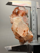 Load image into Gallery viewer, Rare Red Apophyllite Crystal Cluster – High Grade Collector Mineral Specimen | India
