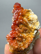 Load image into Gallery viewer, Natural Vanadinite on Matrix | Collector Mineral Specimen | Morocco
