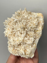 Load image into Gallery viewer, Sulawesi Golden Speckle Bloom Quartz Cluster | Radiant Quartz Crystal Display Specimen | Indonesia
