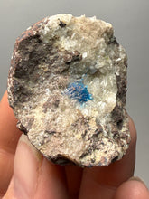 Load image into Gallery viewer, Rare Electric Blue Pentagonite on Druzy Matrix – Collector Mineral Specimen | India
