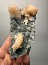 Load image into Gallery viewer, Pink Stilbite Druzy on Botryoidal Black Chalcedony | India | High-Grade Mineral Collector Specimen
