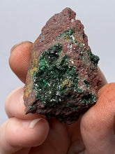Load image into Gallery viewer, Brochantite Collector Mineral Specimen – Vivid Green Copper Crystals from Morocco

