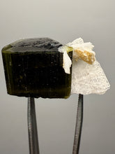 Load image into Gallery viewer, Green Cap Stak Nala Tourmaline with Cleavelandite – Haramosh Mountains, Pakistan | Thumbnail Specimen

