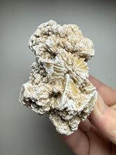 Load image into Gallery viewer, Desert Rose Selenite (Gypsum) — Mineral Display Specimen | Mexico
