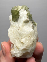 Load image into Gallery viewer, Electric Green Diopside on Quartz – Collector Mineral Specimen (Gilgit-Baltistan) Pakistan
