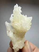 Load image into Gallery viewer, High-Grade Coral Aragonite Specimen | Wenshan Mine, Yunnan, China | Collector Mineral Display
