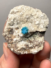 Load image into Gallery viewer, Rare Electric Blue Cavansite on Druzy Matrix – Collector Mineral Specimen | India
