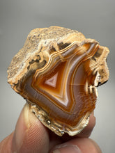 Load image into Gallery viewer, Indonesian Sumatra Agate Half – Vibrant Banded Chalcedony with Rich Color Zoning | Ethical Lapidary &amp; Collector Display Specimens
