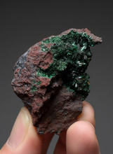Load image into Gallery viewer, Brochantite Collector Mineral Specimen – Vivid Green Copper Crystals from Morocco
