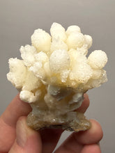 Load image into Gallery viewer, 2.8” High-Grade Flower Calcite Specimen | Wenshan Mine, Yunnan, China | Collector Mineral Display
