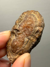 Load image into Gallery viewer, Premium Sumatra Agate Pair (Banded Chalcedony) Display Specimen | Indonesia
