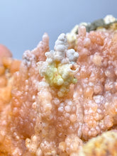 Load image into Gallery viewer, “Goblin Chalcedony” Pink &amp; Orange Druzy Botryoidal Stalactites — Tichka Massif, High Atlas, Morocco

