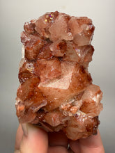 Load image into Gallery viewer, Rare Red Apophyllite Crystal Cluster – High Grade Collector Mineral Specimen | India
