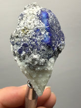 Load image into Gallery viewer, Afghanite &amp; Lazurite on Matrix Collector Display Specimen | Badakhshan Region, Afghanistan
