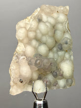 Load image into Gallery viewer, Blue-Green Chrysocolla in Botryoidal Chalcedony Cabinet Specimen | Indonesia
