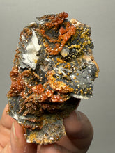 Load image into Gallery viewer, Natural Vanadinite on Matrix | Collector Mineral Specimen | Morocco
