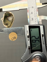 Load image into Gallery viewer, Bivalve (Pelecypoda) Fossil Sea Shell with Chalcopyrite | Mineralized Fossil Specimen | Indonesia
