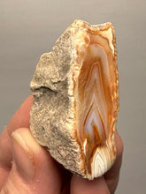 Load image into Gallery viewer, Premium Sumatra Agate (Banded Chalcedony) Display Specimen | Indonesia
