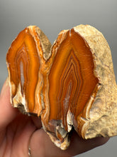 Load image into Gallery viewer, High-Grade Indonesian Sumatra Agate Pair – Vibrant Banded Chalcedony with Rich Color Zoning | Ethical Lapidary &amp; Collector Display Specimens
