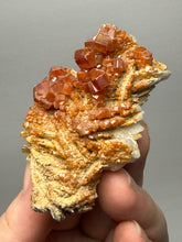 Load image into Gallery viewer, Natural Vanadinite on Matrix | Collector Mineral Specimen | Morocco
