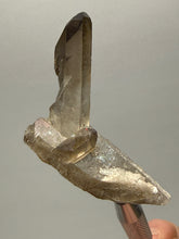 Load image into Gallery viewer, Smoky Quartz Crystal Specimen | Natural Collector Mineral – Brazil
